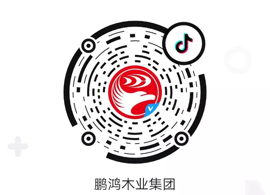 這廂有禮丨這個春節(jié)我最鴻，抖音相伴幸福年